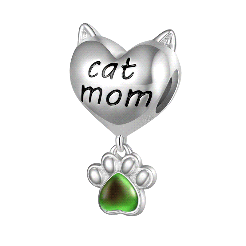 charm de plata 925