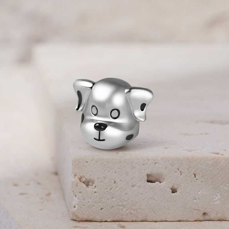Charm Gnoce de Perro Dálmata